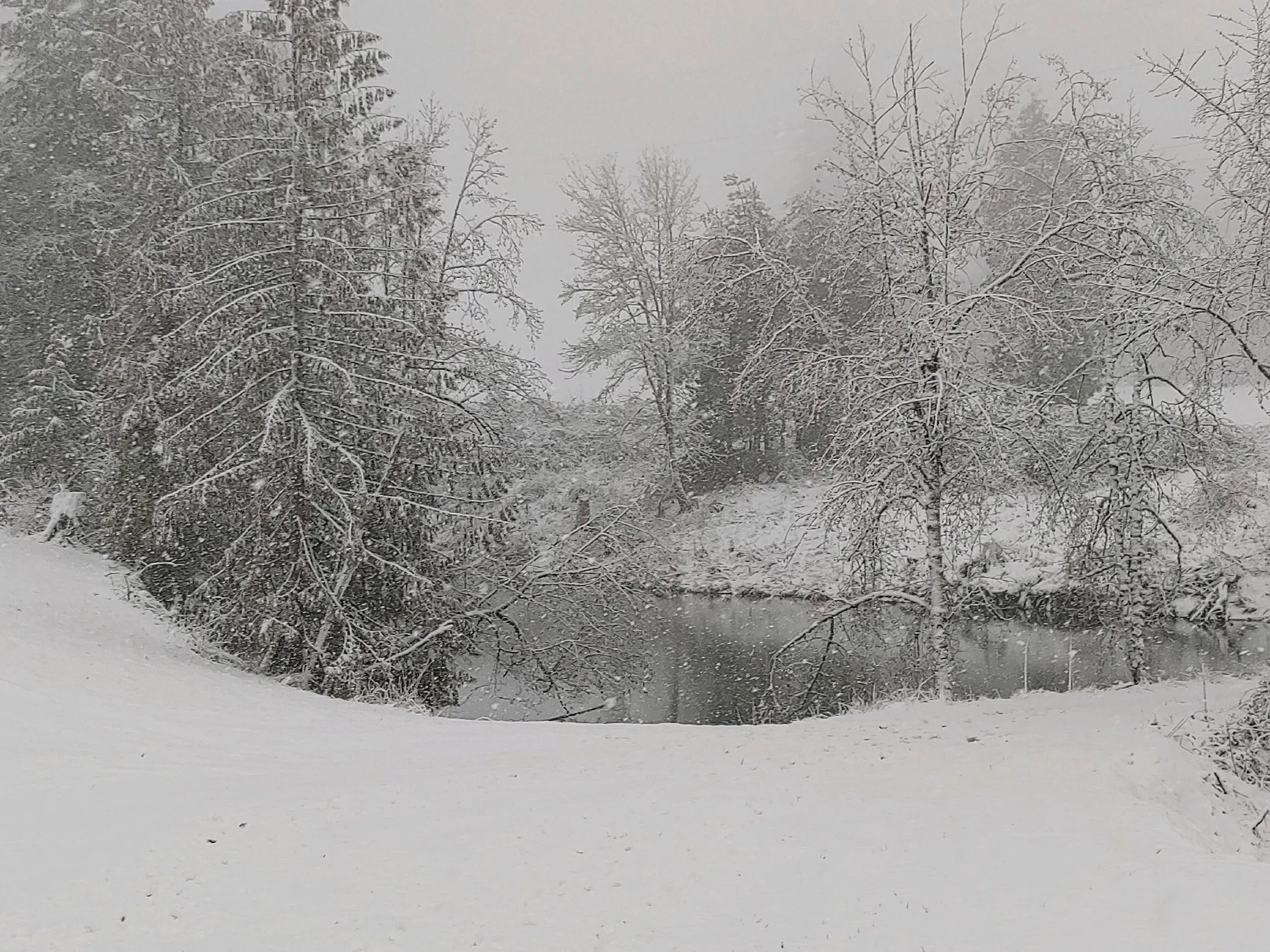 20190209_082303 - #6 - 4